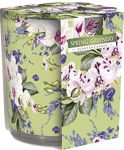 Scented Candle in Glass 'Spring Greens' - Bispol Scented Candle Spring Greenery — photo N1