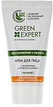 Fragrances, Perfumes, Cosmetics Night Face Cream - Velta Cosmetic Green Expert Night Cream