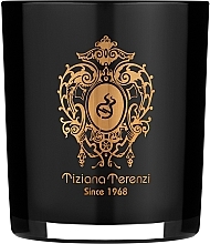 Tiziana Terenzi Capri Fig - Perfumed Candle — photo N10