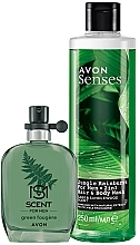 Fragrances, Perfumes, Cosmetics Avon Scent For Men Green Fougere - Set (edt/30ml + sh/gel/250ml)