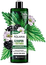 Fragrances, Perfumes, Cosmetics 2in1 Shampoo & Conditioner "Blackberry, Nettle & Menthol" - Herbapol Polana