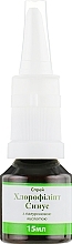 Chlorophyllipt Sinus Spray with Hyaluronic Acid - Green Pharm Cosmetic — photo N2