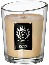 African Olibanum Scented Candle - Vellutier African Olibanum — photo N4