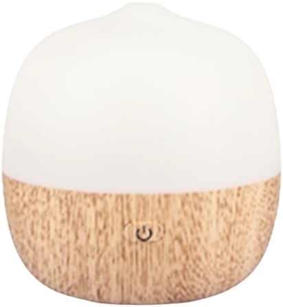 Reed Diffuser - Fagnes Coconut Diffuser — photo N1