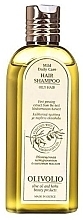 Fragrances, Perfumes, Cosmetics Oily Hair Shampoo - Olivolio Hair Shampoo Oily