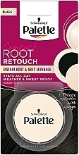 Fragrances, Perfumes, Cosmetics Hair Color Powder - Palette Root Retouch