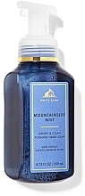 Bath & Body Works Mountainside Mist Gentle & Clean Foaming Hand Soap - Bath & Body Works Mountainside Mist Gentle & Clean Foaming Hand Soap — photo N1