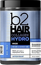 Cream Mask for Dry & Damaged Hair - b2Hair Collagen Hydro Mask — photo N1