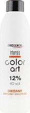 Oxydant 12% - Prosalon Intensis Color Art Oxydant vol 40 — photo N1