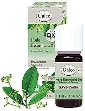 Essential Oil Set "Winter" - Galeo Vital Oils For Winter (ess/oil/3x10ml) — photo N8