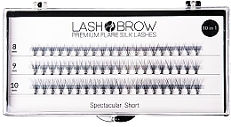 False Lashes - Lash Brown Premium Flare Silk Lashes Spectacular Short — photo N1