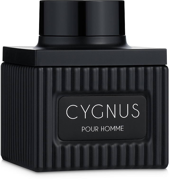 Flavia Cygnus Pour Homme - Eau de Parfum — photo N3