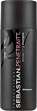 Fragrances, Perfumes, Cosmetics Hydrating Shampoo - Sebastian Professional Penetraitt Moisturizing Shampoo