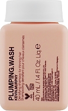 Volumizing & Thickening Shampoo for Dry & Thin Hair - Kevin Murphy Plumping Wash — photo N1