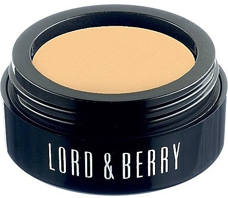 Cream Concealer - Lord & Berry Flawless Creamy Concealer — photo N1