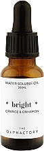 Water-Soluble Oil - Ambientair The Olphactory Orange And Cinnamon Water Soluble Oil — photo N1