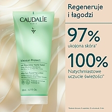 Repairing After Sun Milk - Caudalie Vinosun Protect After-Sun Repairing Lotion — photo N14