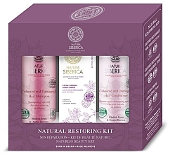 Fragrances, Perfumes, Cosmetics Set - Natura Siberica Natural Restoring Kit (shm/250ml + cond/250ml + h/cr/75ml)