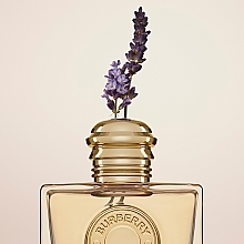 Burberry Goddess - Eau de Parfum — photo N8