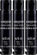 Ammonia-Free Coloting Gel - La Biosthetique Color System Color&Gloss — photo N2