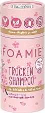 Blonde Dry Shampoo - Foamie Dry Shampoo Berry Blossom — photo N1