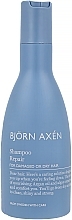 Repairing Shampoo for Dry & Damaged Hair - BjOrn AxEn Repair Shampoo — photo N2