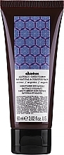 Natural & Colored Hair Conditioner (silver) - Davines Alchemic Conditioner — photo N1