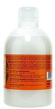 Colored & Dry Hair Shampoo - Kallos Cosmetics Color Shampoo With Linseed Oil  — photo N2