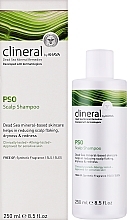 Shampoo for Sensitive Scalp - Ahava Clineral Pso Scalp Shampoo — photo N2