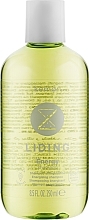 Energy Anti Hair Loss Shampoo - Kemon Liding Energy Shampoo — photo N1