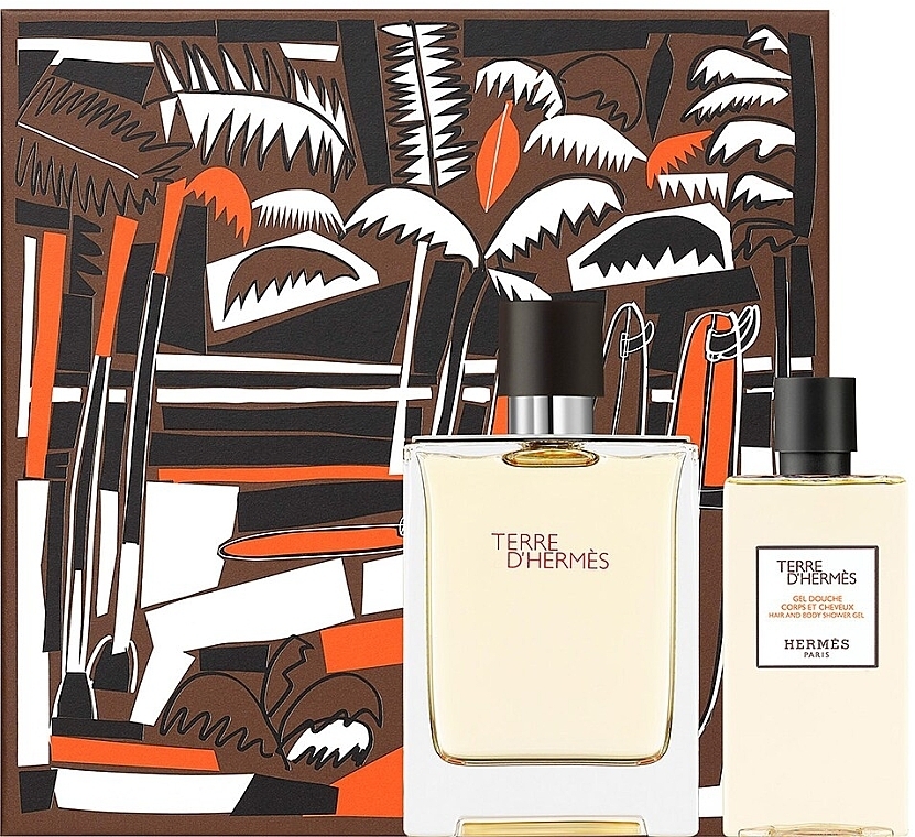 Hermes Terre dHermes - Set (edt/100ml + sh/g/80ml) — photo N1