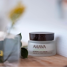 Smoothing & Firming Day Cream - Ahava Extreme Day Cream — photo N13