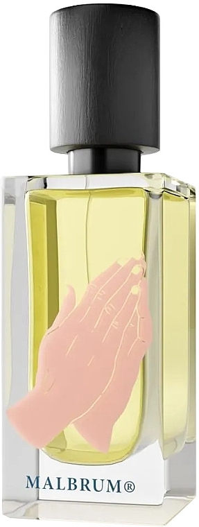 Malbrum Here Comes The Son - Parfum — photo N1