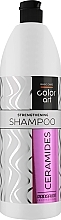 Strengthening Ceramide Shampoo - Prosalon Basic Care Color Art Strength Shampoo Ceramides — photo N1