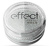 Fragrances, Perfumes, Cosmetics Nail Powder - Ronney Professional Holo Effect Nail Art Powder