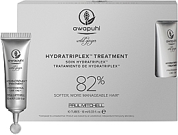 Concentrated Hydratriplex Hair Complex - Paul Mitchell Awapuhi Wild Ginger HydraTriplex Treatment — photo N1