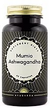 Mumio Ashwaganga Dietary Supplement - Nami — photo N1