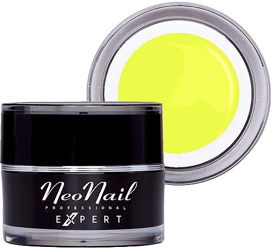 Nail Paint Gel - NeoNail Professonal Expert Paint UV Gel — photo N1