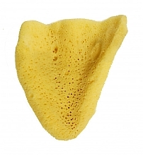 Shower Washcloth 'Elephant Ear', 10.16 cm - Hydrea London The Natural Sea Sponge Large — photo N2