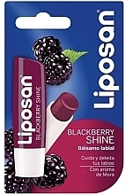 Blackberry Lip Balm - Liposan Blackberry Shine Lip Balm — photo N1