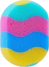 Fragrances, Perfumes, Cosmetics Rainbow Body Wash Sponge - Sanel №8