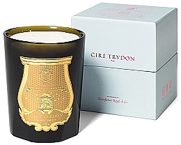 Fragrances, Perfumes, Cosmetics Scented Candle 'Spiritus Sancti' - Cire Trudon