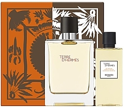 Fragrances, Perfumes, Cosmetics Hermes Terre d'Hermes - Set (edt/100ml + sh/gel/80ml)