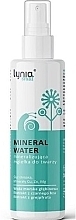 Snail Mineral Water Spray - Lynia Snail Slime Mineral Water — photo N1