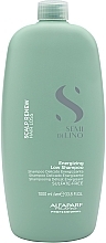 Anti Hair Loss Shampoo for Weak Hair - Alfaparf Semi De Lino Scalp Renew Energising Low Shampoo — photo N1