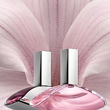 Calvin Klein Euphoria Eau de Toilette - Eau de Toilette — photo N9