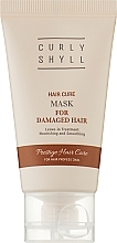 Heat Protection Mask for Damaged Hair - Curly Shyll Hair Cure Mask (mini size) — photo N1