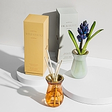 Fragrances, Perfumes, Cosmetics Fragrance Diffuser - Paddywax Wild Neroli Reed Diffuser