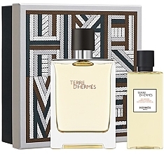 Fragrances, Perfumes, Cosmetics Hermes Terre d'Hermes - Set (edt/100ml + sh/gel/80ml)