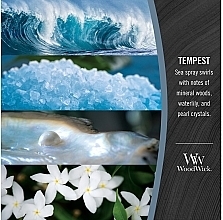 Scented Candle in Glass - Woodwick Ellipse Candle Tempest — photo N4